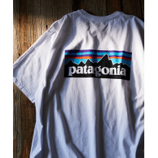 日本直送 日本 Patagonia P-6 Logo 印花T恤 38504 / 兩色入 